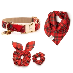 Rojo Dog Mom 4'lü Set