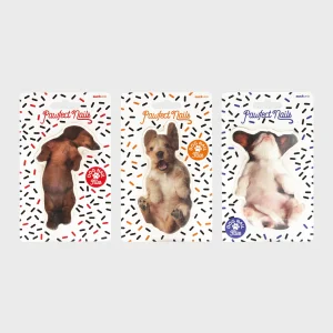 Köpek Törpü (3 Farklı Çeşit)