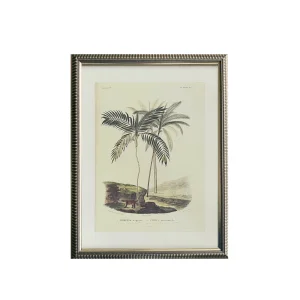 Palm No.1 Tablo