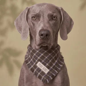 Aero Pet Bandana