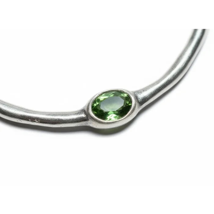 Veridia Necklace image 3