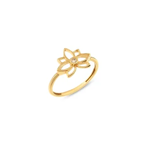 Lotisse Taşlı  Golden Ring