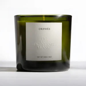 Fig Tree Scented Candle