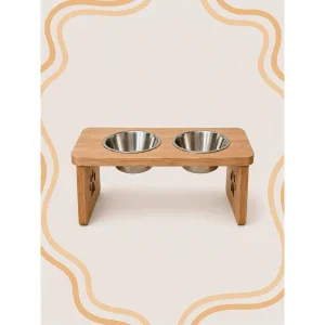 Paw Table Double Pet Food Stand