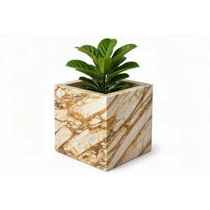 Aureus Calacatta Gold Marble Cube Planter