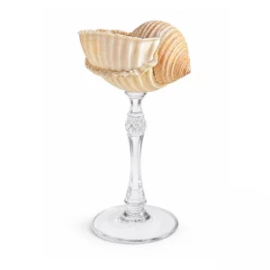 Maris Aurora II - Handmade Seashell Wine Glass with Gold Touch