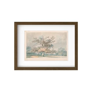 Meşe Ağacı Fine Art Print