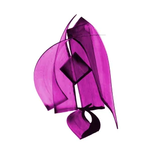 Kaman Fine Art Print - Bow