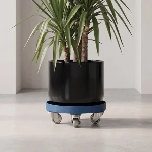 variant