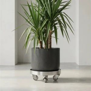 variant