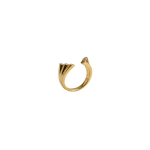 Symmetry Ring - 2