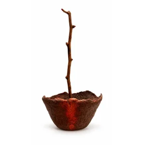 Vestigia-izler Kök Sculpture