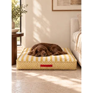 Yellow Striped Pet Bed - 2