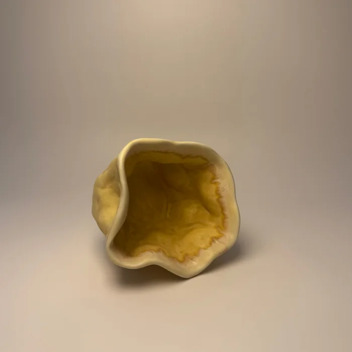 Hardal sı Stoneware Seramik Kupa - 5
