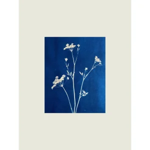 Indigo Stillness Çerçeveli Art Print Tablo - 1