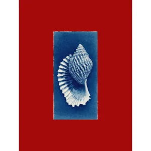 Tide Relics Art Print Tablo Seti - 3