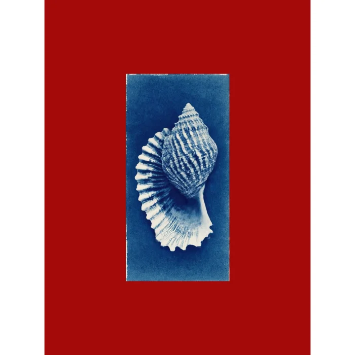 Tide Relics Art Print Tablo Seti - 3
