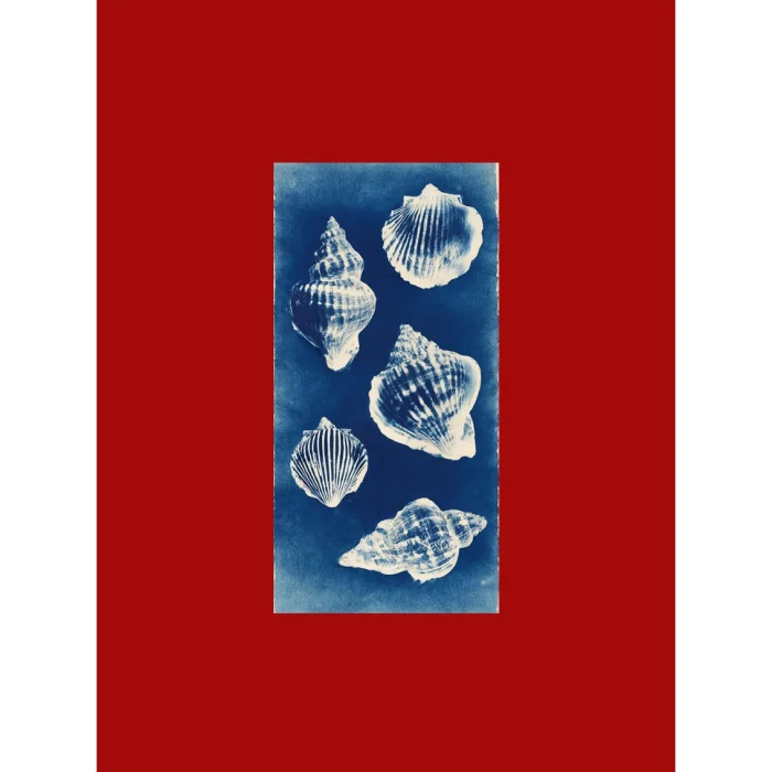 Tide Relics Art Print Tablo Seti - 4
