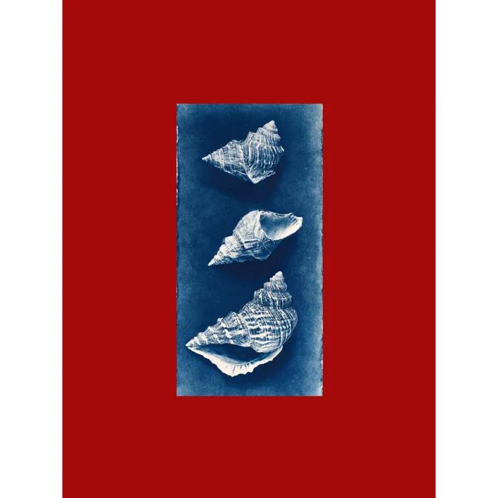 Tide Relics Art Print Tablo Seti - 5