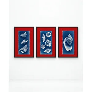 Tide Relics Art Print Tablo Seti - 1