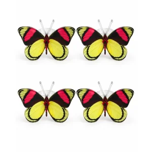 variant