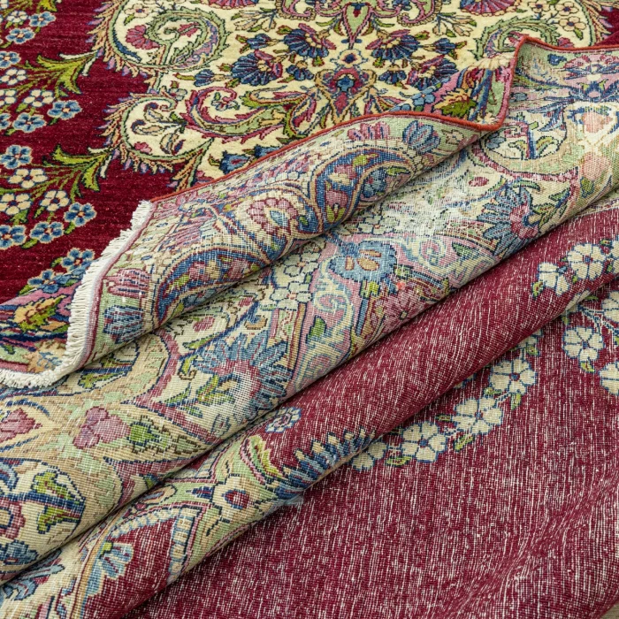 Hara Hand-Knotted Iranian Rug 290x426 Cm - 5