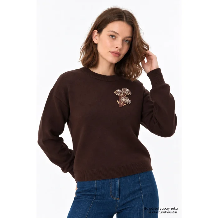 Applique Crew Neck Regular Brown Knit Blouse - 3