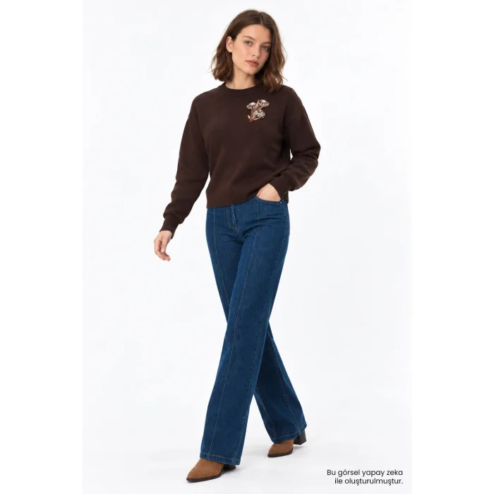 Appliqué Crew Neck Regular Brown Knit Blouse - 2