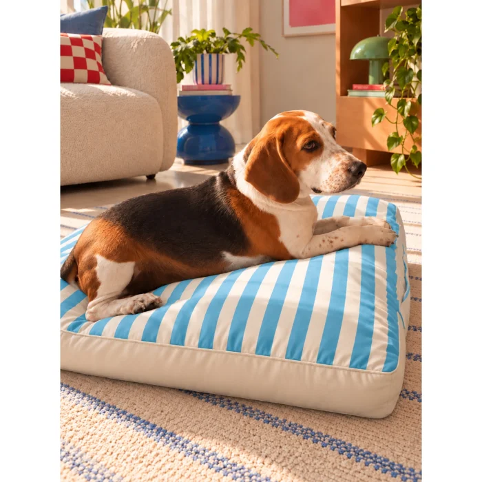 Sky Stripe Kedi ve Köpek Yatak Minderi - 2
