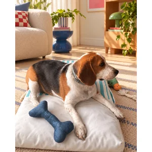 Sky Stripe Pet Minder Yatak - 2