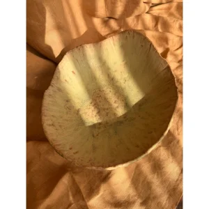 Terra Artistic Handmade Ceramic Bowl - 4