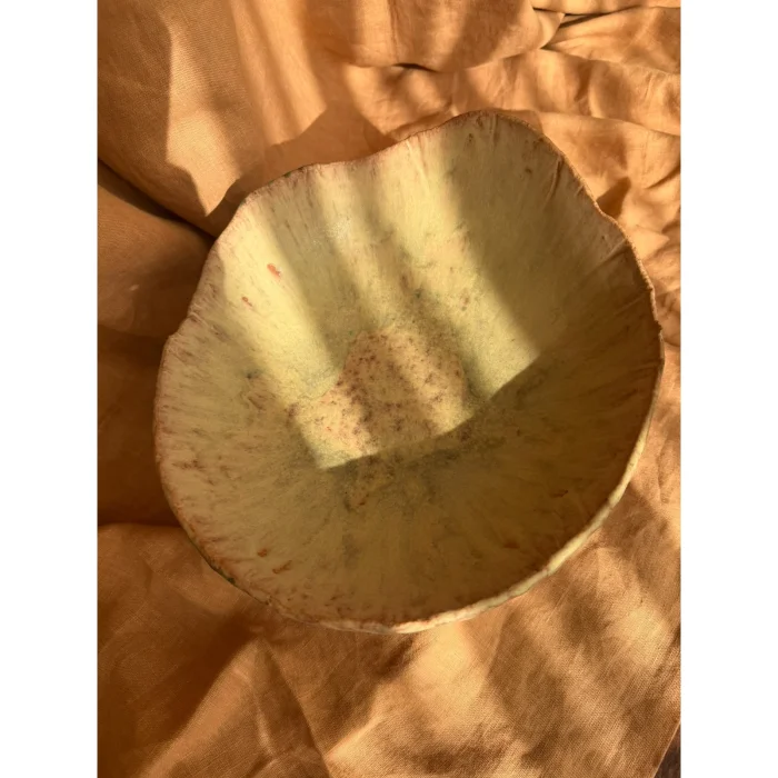 Terra Artistic Handmade Ceramic Bowl - 4