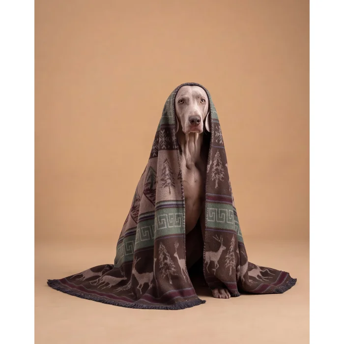 Woolin Blanket - 2