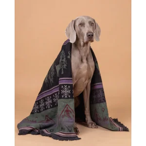 Woolin Blanket - 2