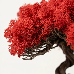 Akari Kırmızı Yosun Bonsai Dekoru - 3