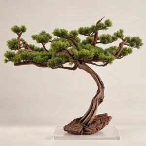 Aurea Arbor El Yapımı Driftwood Bonsai Dekoratif Obje - 1