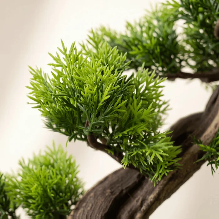 Aurea Arbor El Yapımı Driftwood Bonsai Dekoratif Obje - 5