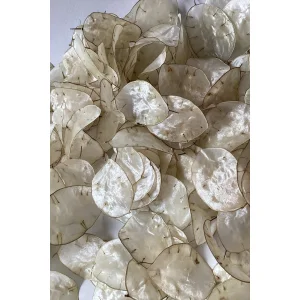 Sedef Çiçeği Lunaria Dekoratif Çelenk - 5