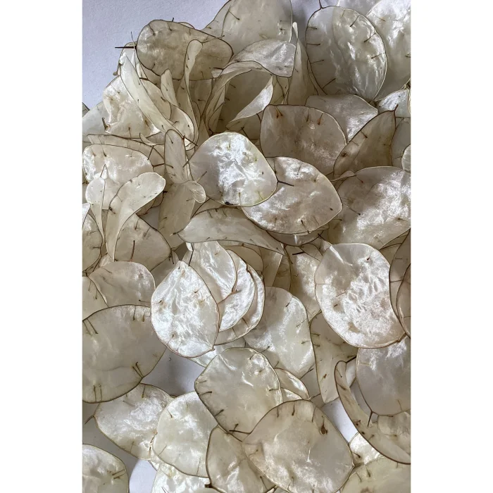 Sedef Çiçeği Lunaria Dekoratif Çelenk - 5
