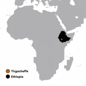 Koke Ethiopia Yirgacheffe Honey Coffee Beans - 6