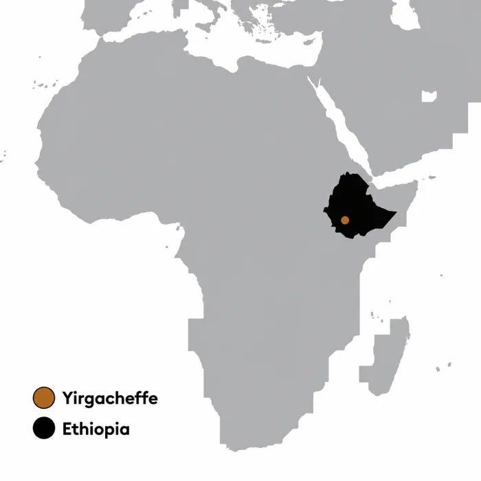 Koke Ethiopia Yirgacheffe Honey Coffee Beans - 6