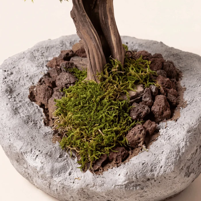 Arbor Stone El Yapımı Beton Saksı Bonsai Dekoratif Obje - 5