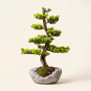 Arbor Stone El Yapımı Beton Saksı Bonsai Dekoratif Obje - 1