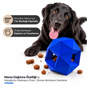 Interactive Mavi Dog Toy - 7