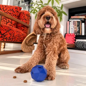 Geometric Interactive Treat Dispensing Dog Toy - 4