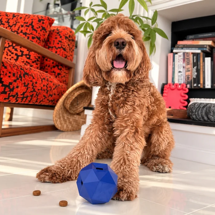 Geometric Interactive Treat Dispensing Dog Toy - 4
