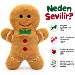 Gingerbread Plush Dog Toy - 5