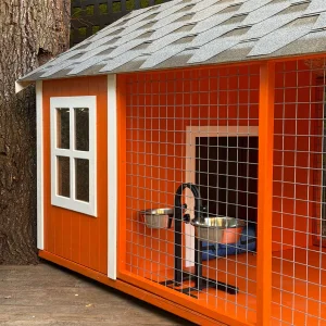 Chess Wooden Dog House - 5