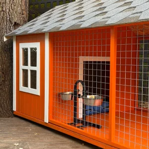 Chess Wooden Dog House - 6