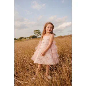 Royal Pink Jacquard Tulle Girl Dress - 3